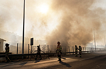Чили охватили мощные лесные пожары