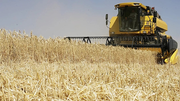 Десятки стран перестали покупать российскую пшеницу