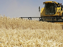 Десятки стран перестали покупать российскую пшеницу