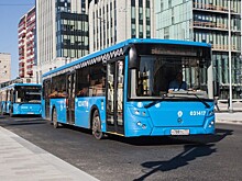 Комиссия ГД одобрила запрет на высадку из автобусов детей-безбилетников