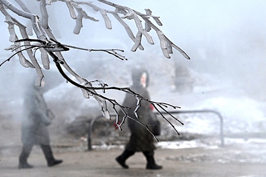 Вильфанд: Аномальные морозы накроют 80% территории России