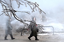 Вильфанд: Аномальные морозы накроют 80% территории России
