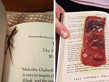 Вот так везение: фото 10 необычных вещей, которые нашли в библиотечных книгах