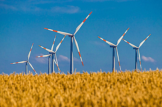 «Зеленые сертификаты» помогут бороться с парниковыми газами в России