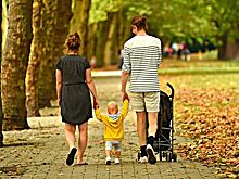 В Новосибирской области расширена программа развития сельских территорий