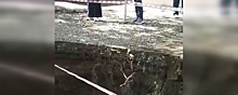 В Невинномысске из-за обрушения грунта прорвало канализацию