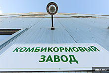 Кредиторы требуют с завода «Здоровая ферма» в Челябинской области 74 млн рублей