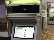 В Армавирском музее появилась 3D-пирамида с сенсорным экраном