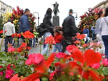 Стали известны даты празднования Дня города в Москве
