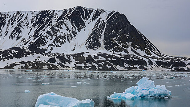 Россия летом представит ООН заявку на арктический шельф