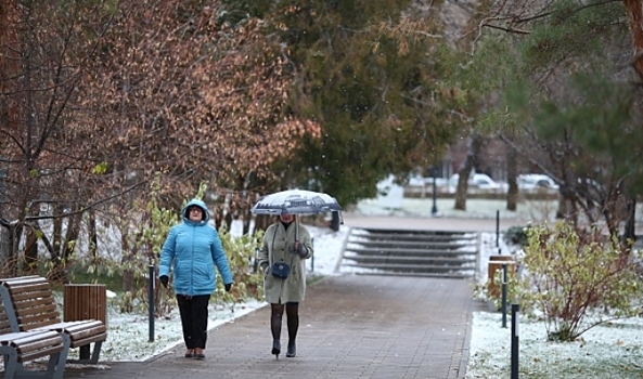 Морозы до -8 градусов ударят ночью в Волгоградской области 8 декабря