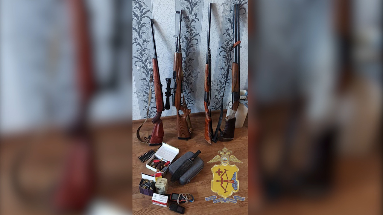 Кировские полицейские установили личности мужчин, причастных к незаконной охоте на лосей