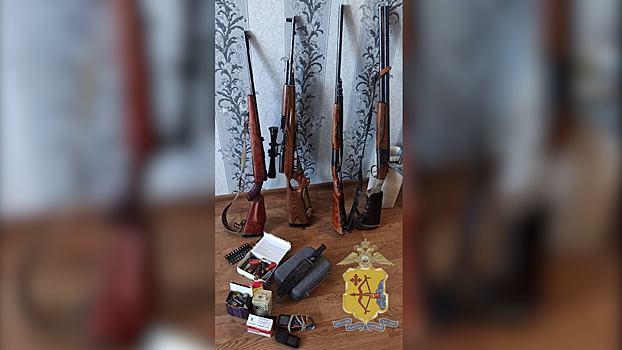 В Кировской области полицейские установили личности причастных к незаконной охоте на лосей