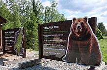 Гостей «Таганая» стал встречать бурый медведь