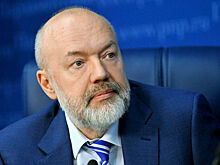 Крашенинников: С 2024 года экономические споры будут решаться по новым правилам