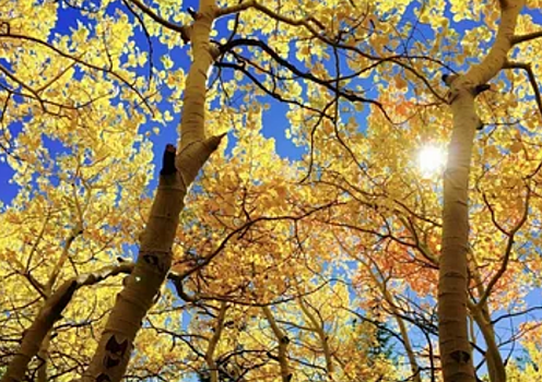 Саратовцев ждут солнечные теплые выходные