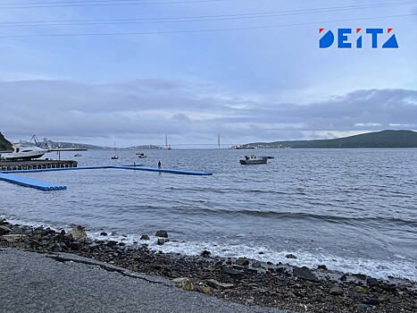 Генпрокуратура подала новый иск к Niko Group в Приморье