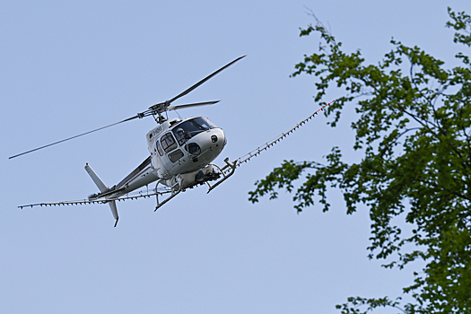 Американских военных обвинили в распылении токсичных химикатов в рамках секретной программы