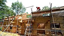 Дома на деревьях и медведь по соседству: в Приморье построят "Лесную школу"