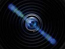 В Новой Третьяковке повесили фотографию мыши из Сокольников