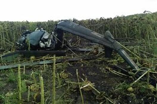 Найдены нарушения в использовании вертолета Ми-2, рухнувшего на Кубани