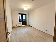 В Петербурге хотят остановить размножение квартир-студий