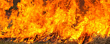В Республике Тыва пожарные не дали огню перекинуться с сухой травы на жилые дома