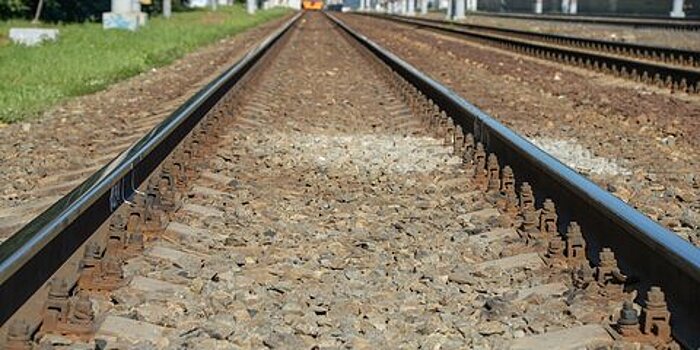 Мужчина погиб под колесами электрички на ж/д станции Вешняки