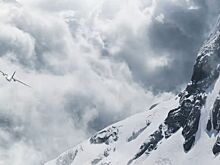 «Общество снега» получило испанскую премию «Гойя» за лучший фильм