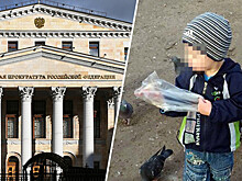 Генпрокуратура вернула на доследование дело кировского «пьяного» мальчика
