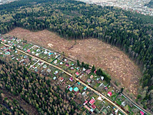 Свыше 700 многодетных семей получили землю в Подмосковье