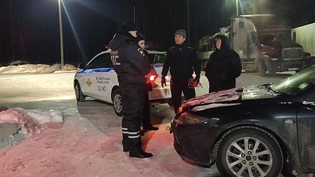 ​Свердловская полиция спасла замерзающую на трассе семью из Югры
