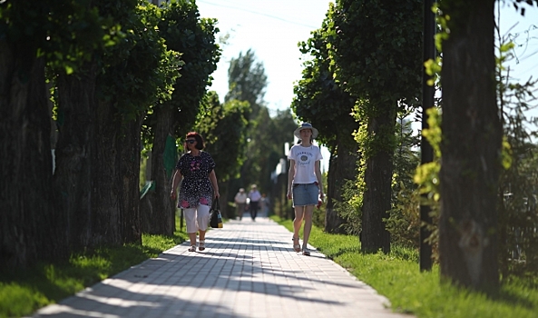 Темп ходьбы человека связан с окружающей средой