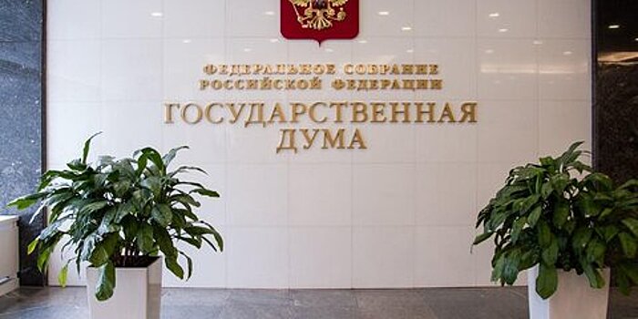 Депутат ГД оценил идею включить в УК обстоятельство, отягчающее наказание для мошенников