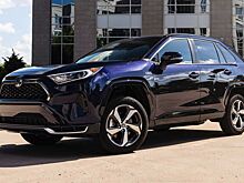 Новые модели Toyota и Lexus помогут отыскать веганскую еду