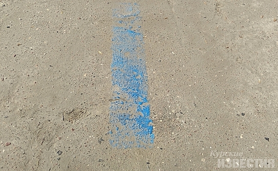 «Синию линию» в Курске обновят в июне