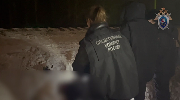 Маленькие брат с сестрой погибли под поездом в Казани