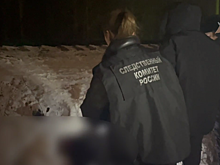 Маленькие брат с сестрой погибли под поездом в Казани