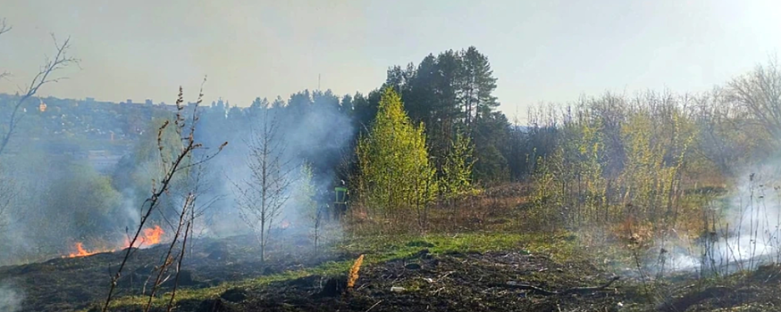 В Смоленской области уже зафиксировано 506 пожаров, уничтоживших 2269 гектаров земель