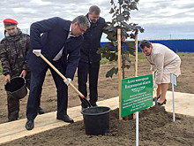 ТОР в моногороде Камешково Владимирской области могут создать до конца года