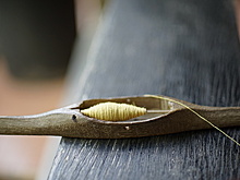 Раскрыты подробности раскопок обнаруженного в Арктике могильника XVII века