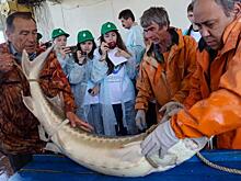 Каспийские новости поздравили участников проекта «GREENкор»