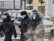 В Забайкалье возбудили дело из-за гибели девочки от нападения собак