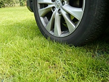 Омичам за парковку на газоне с мая выписали штрафов на 750 тысяч рублей