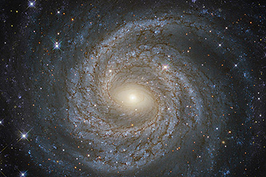 Физики подтвердили возможное открытие пятой силы природы