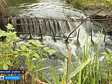 Жители воронежского села боятся, что чиновники лишат их пруда