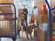 Осторожно контрабандисты: поддельная продукция опасна для жизни