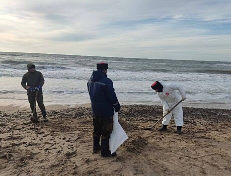 Ученые из МГУ рассказали о трудностях выбора сорбента для мазута в Анапе