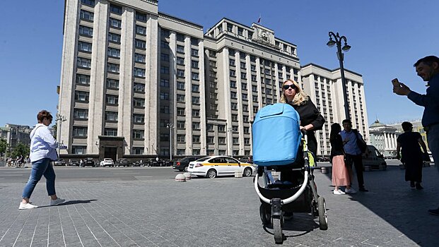 В Госдуме прокомментировали идею о новом пособии для матерей-одиночек