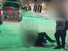 На Сахалине пьяный пассажир вступил в схватку с водителем, пострадала прохожая